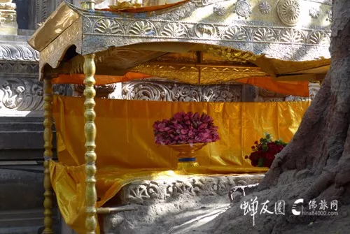 佛陀开悟说的第一句话原文（了解开悟前的12个征兆）