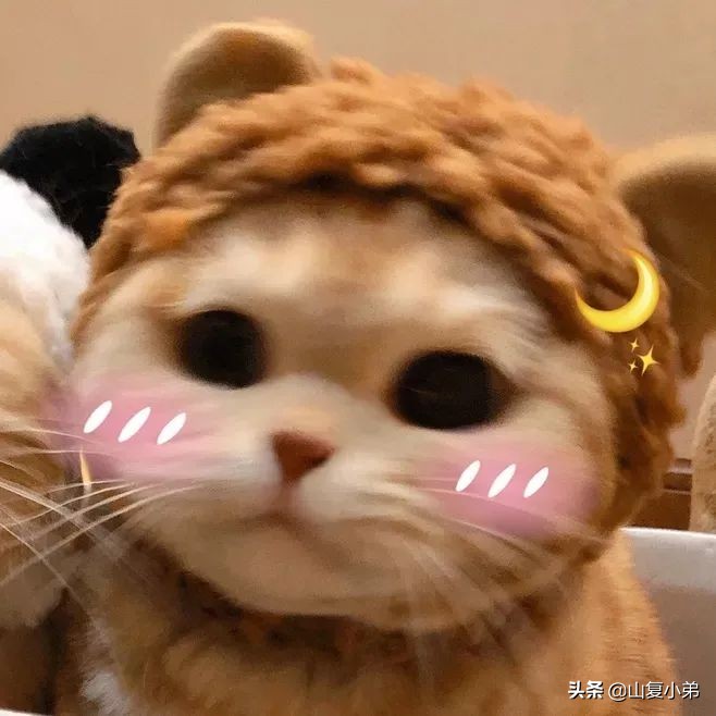 给闺蜜留言的暖心句子（给女朋友超长一大段暖心的话）