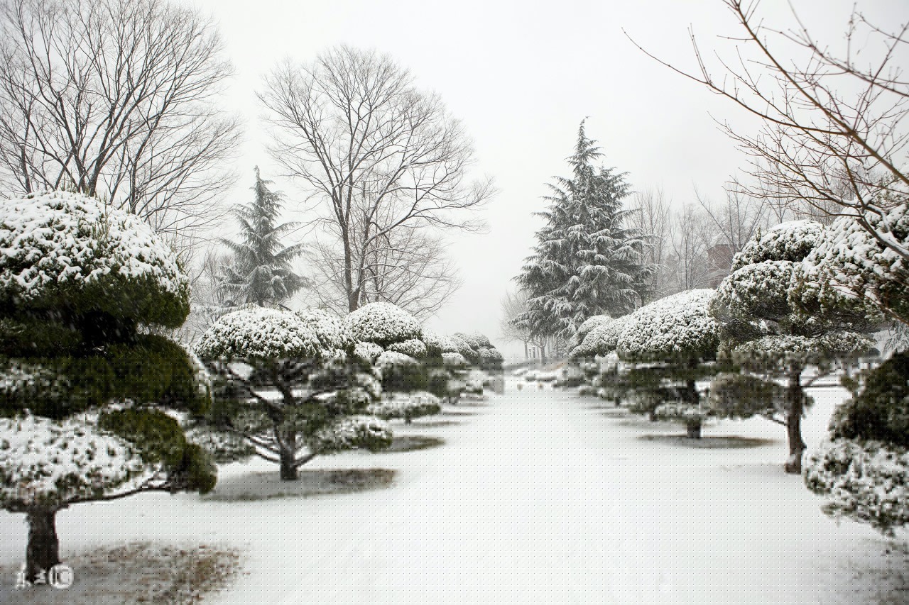 形容下雪的句子唯美诗句（关于下雪的唯美古诗词）