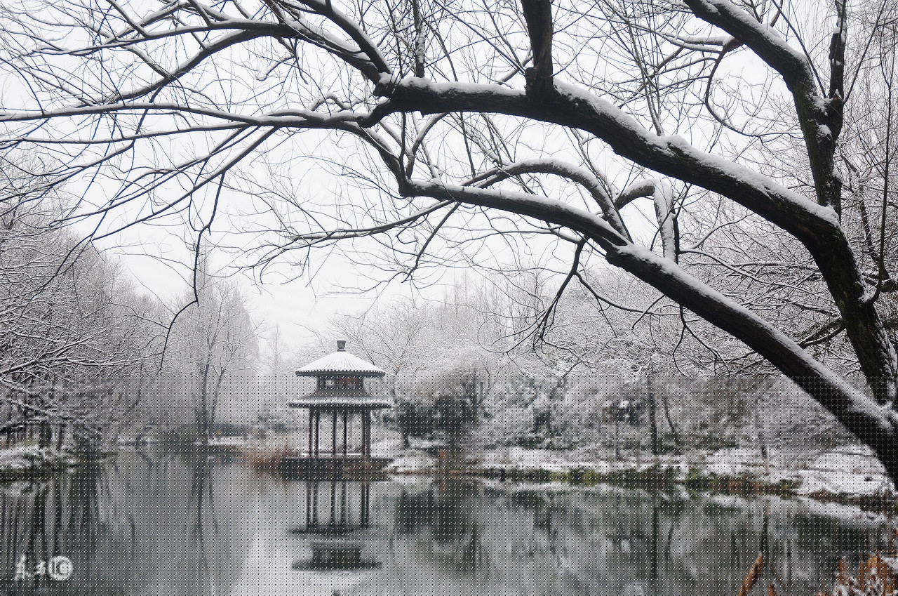 形容下雪的句子唯美诗句（关于下雪的唯美古诗词）