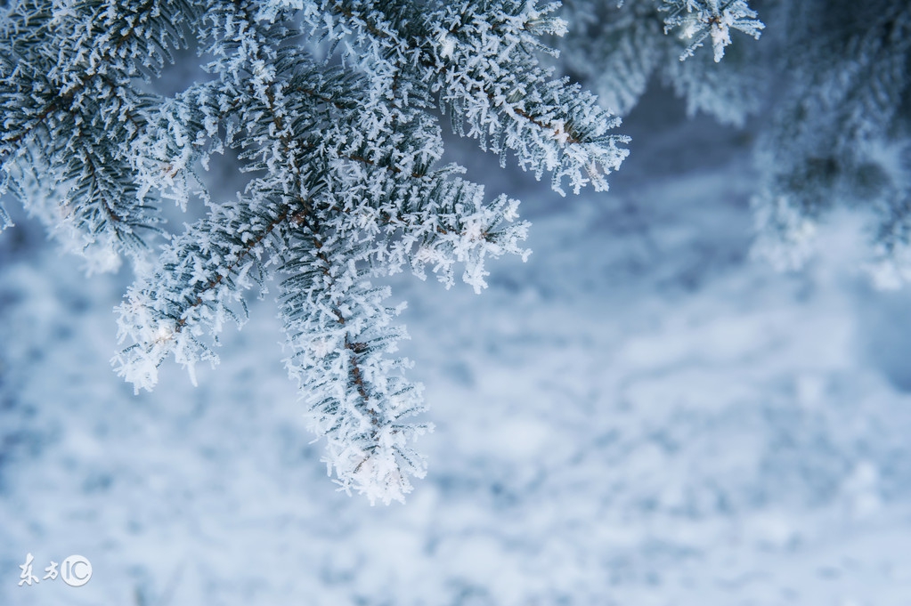 形容下雪的句子唯美诗句（关于下雪的唯美古诗词）