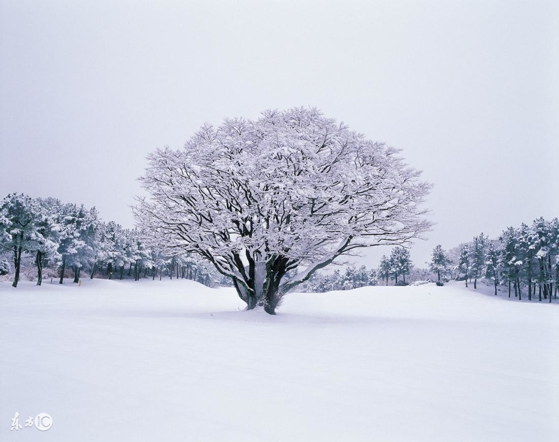 形容下雪的句子唯美诗句（关于下雪的唯美古诗词）