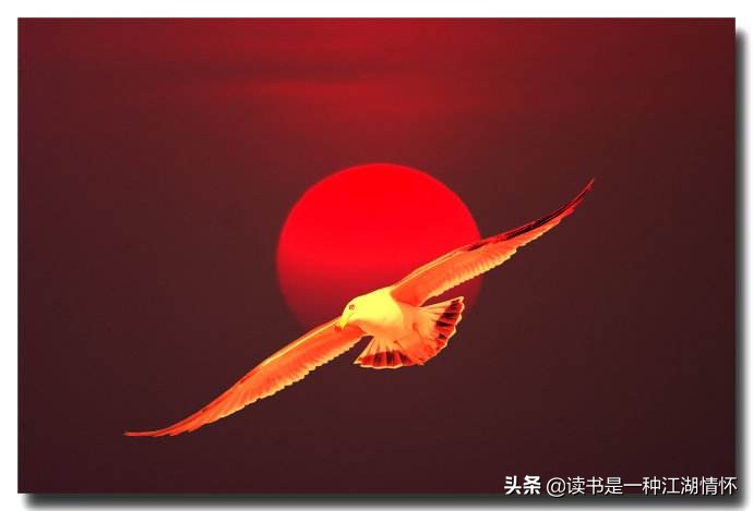 新年寄语简短励志诗句（免费分享这20句励志诗）