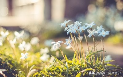 抖音励志阳光简短英语句子（适合抄写的英语美文）