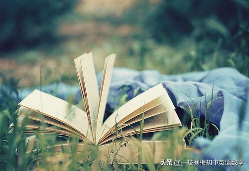 励志英语句子摘抄（英语好句子摘抄100句）