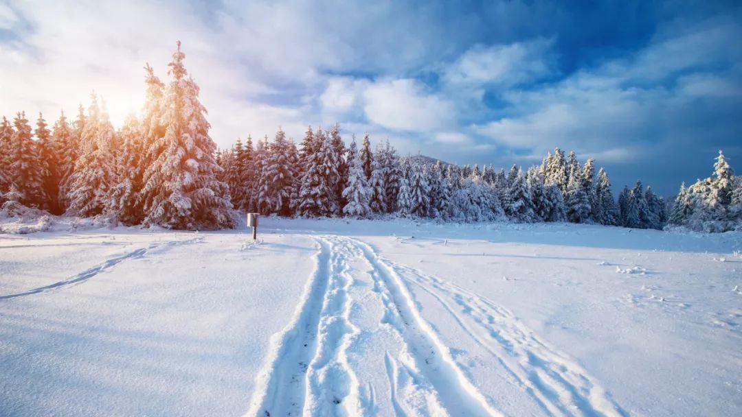 关于描写雪的句子有哪些（赞美雪景的诗句赏析）