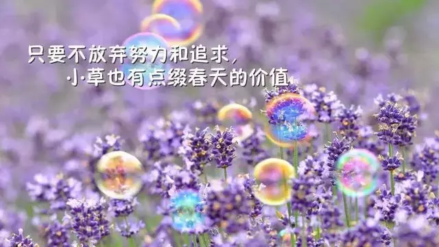 坚持努力就会有收获的句子（努力不会被辜负的名句）