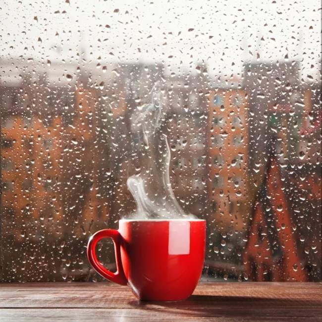 关于雨的唯美句子情话（下雨天的最美一句情话）