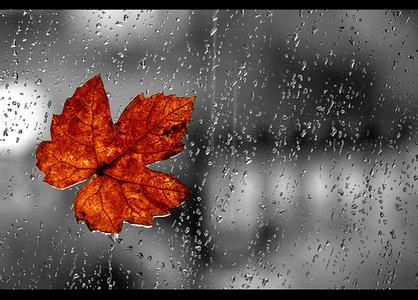 诗雨出自哪首诗（关于描写诗雨的诗句）