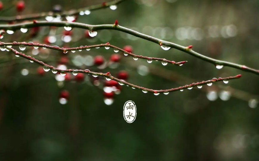 形容春雨的诗句有哪些（关于春雨的古诗词句）