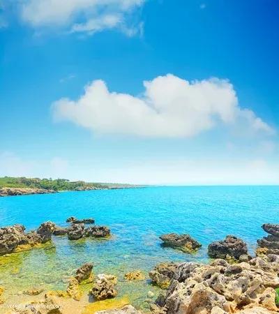 面朝大海春暖花开朗诵（段金泉散文面朝大海诵读）