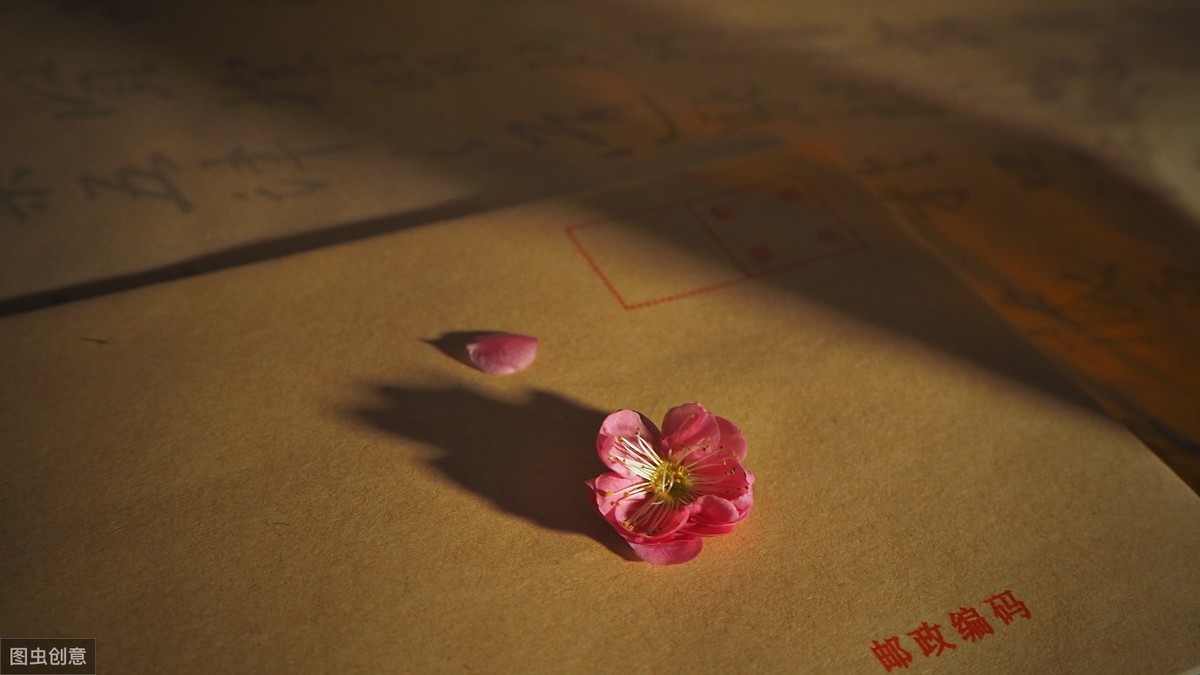 一个陌生女人的来信经典语录及赏析（百年孤独最经典一句话）