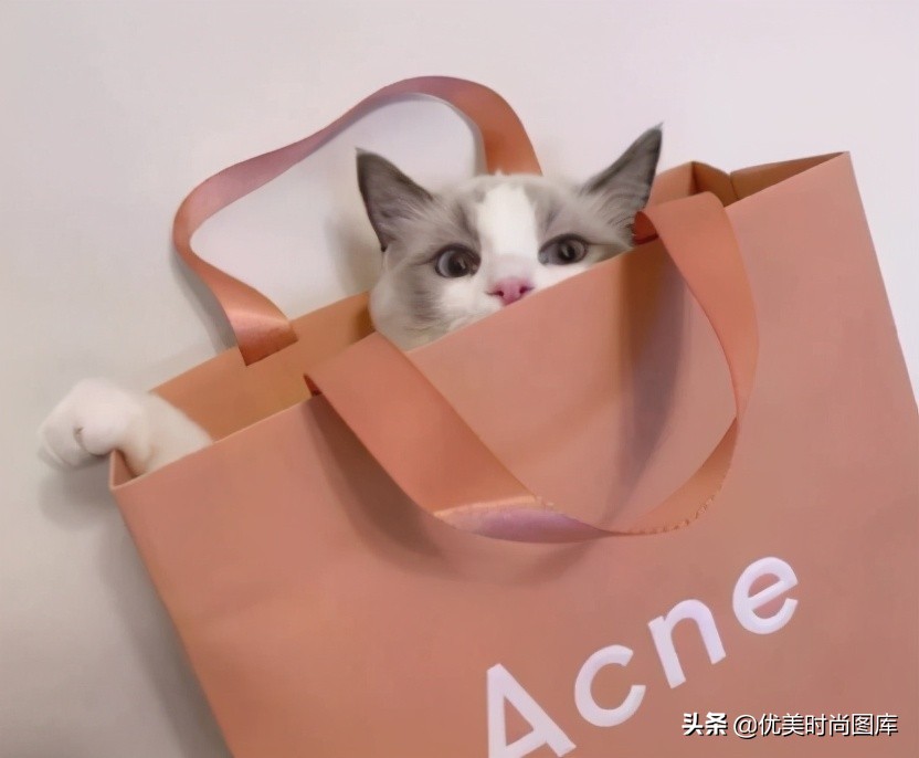 夸美女漂亮的经典句子（夸赞女人最经典句子）