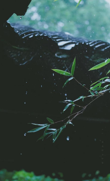 形容倾盆大雨的诗句有哪些（有关狂风暴雨的古诗词赏析）