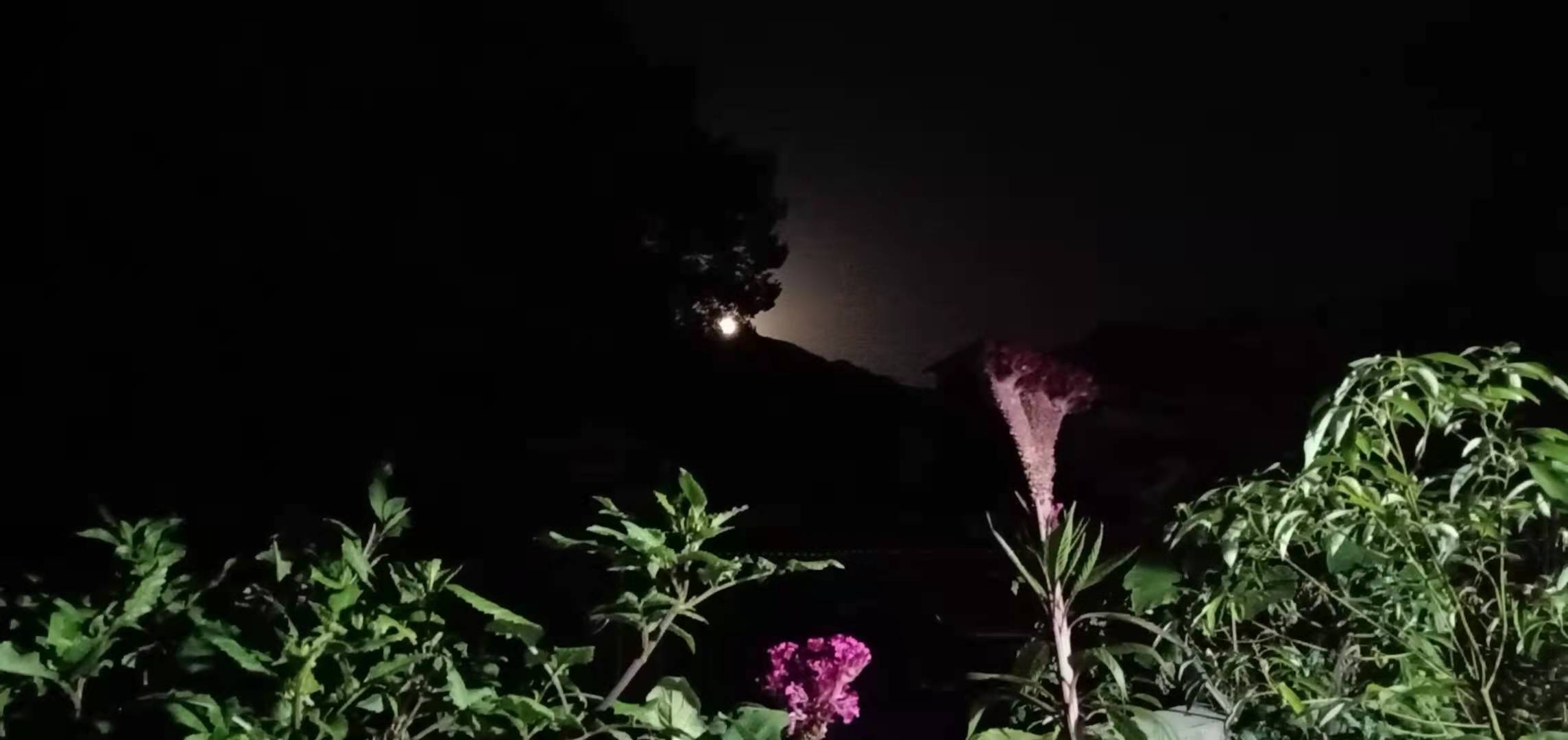 描写中秋的现代诗（赞美中秋节的现代诗）