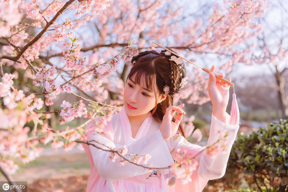描写樱花的优美句子（赞美樱花美景的古诗词）
