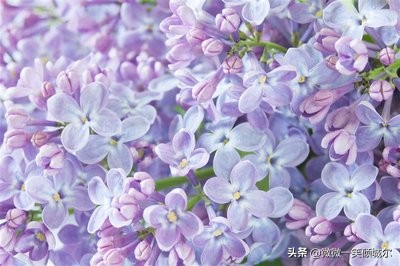 抖音励志阳光简短英语句子（适合抄写的英语美文）