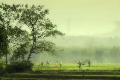 春天播种的诗句是什么（形容播种收获的古诗）