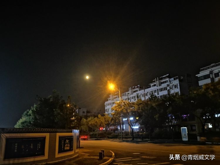 现代长诗十大经典长诗（经典长诗名篇）