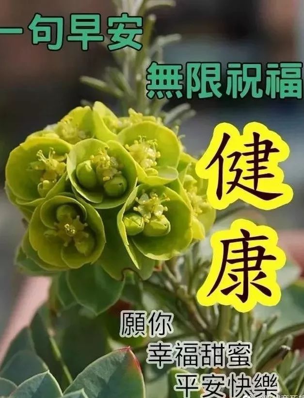 天空很美的短句（赞美天空云层美景的句子）