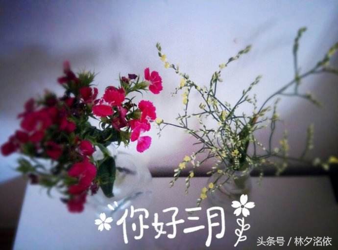 描写三月的句子有哪些（致三月的24条经典唯美语录）