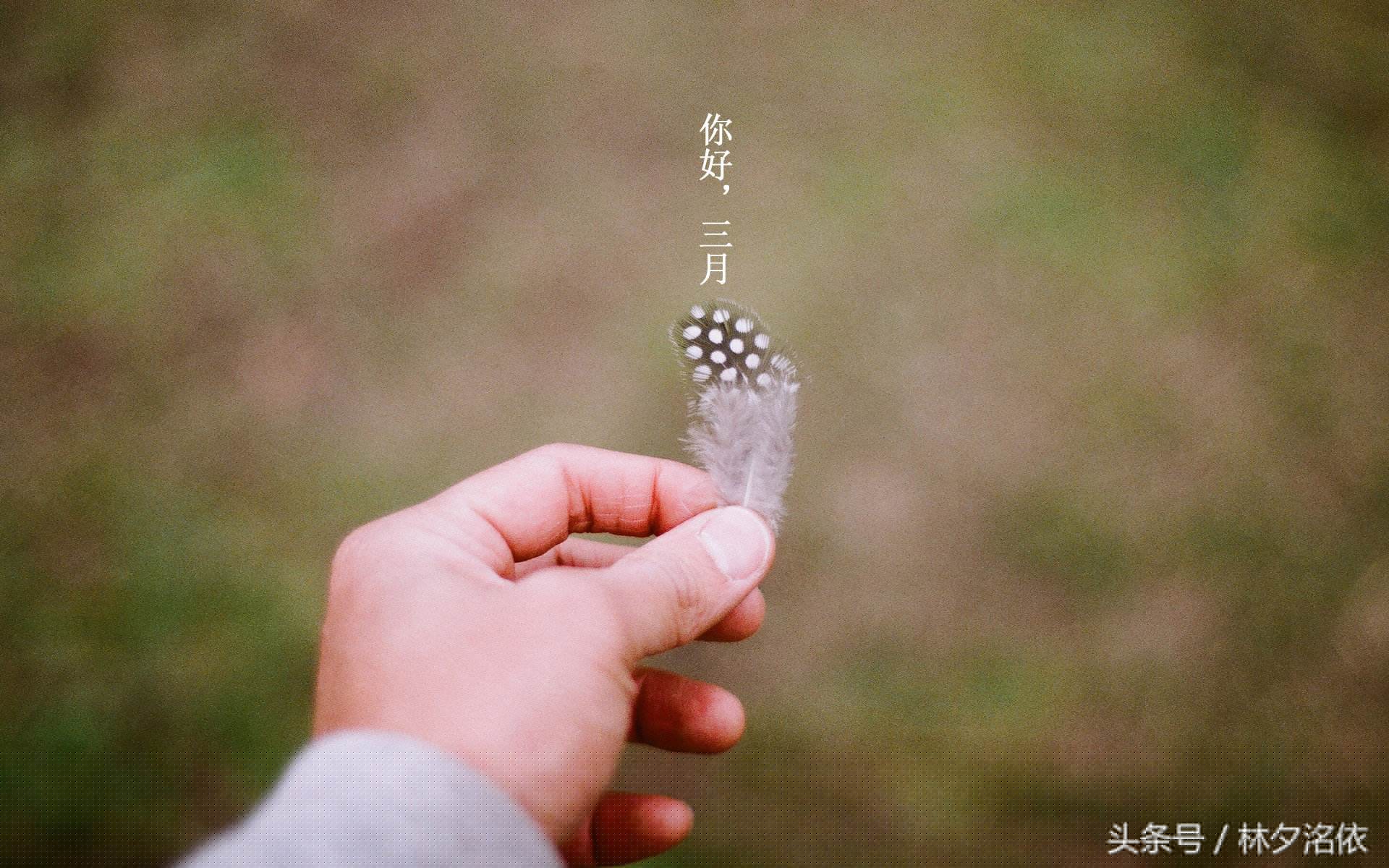 描写三月的句子有哪些（致三月的24条经典唯美语录）