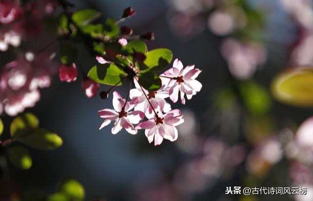 表达游子思念家乡的优美短句（适合发朋友圈想家的句子）
