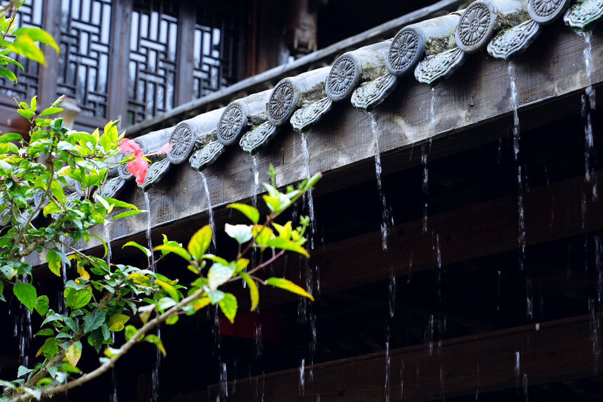 描写秋雨的文章有哪些（表达下雨天心情低落的情绪）