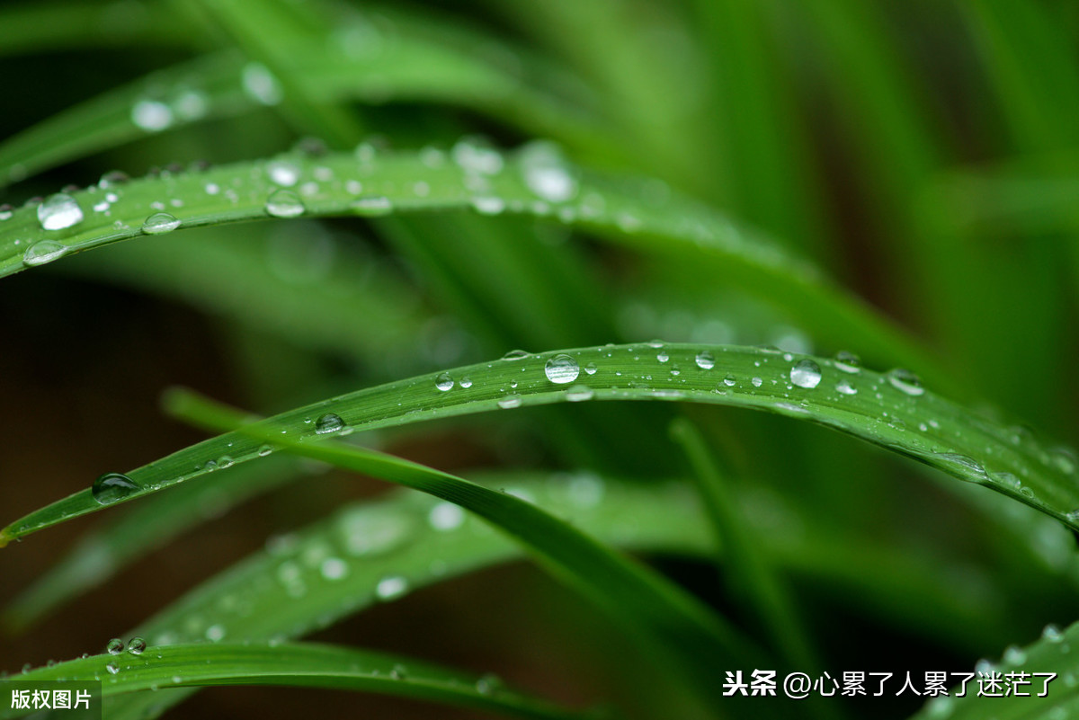 年轻真好的经典句子（经典名句语句赏析）