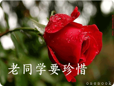 表达同学情谊的经典句子（同学情感语录短句）