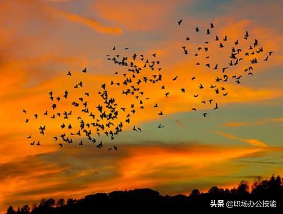 旅行句子说说（旅游发圈的简单一句话）