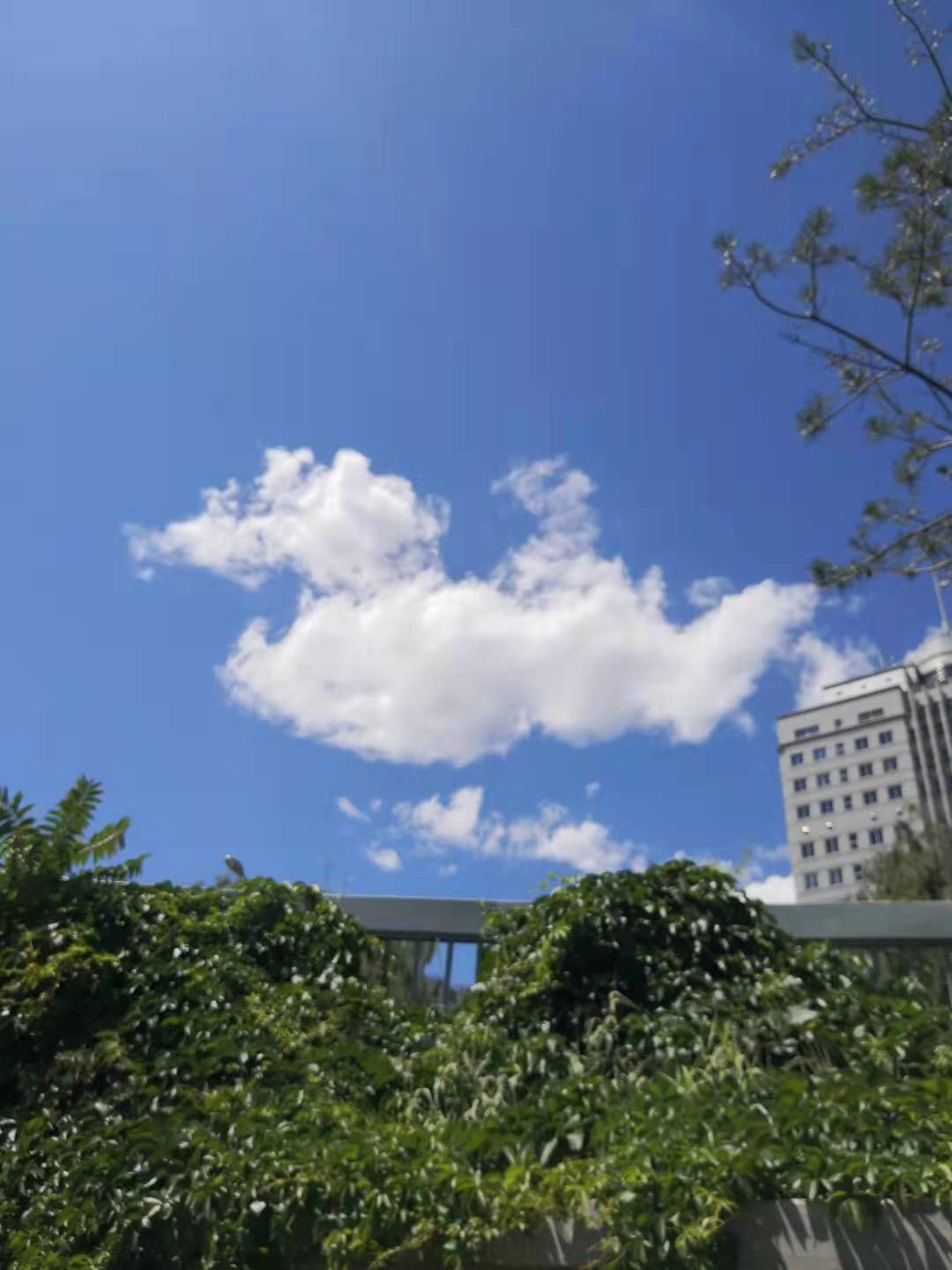 描写小溪的句子短句（描写小溪的优美段落摘抄）