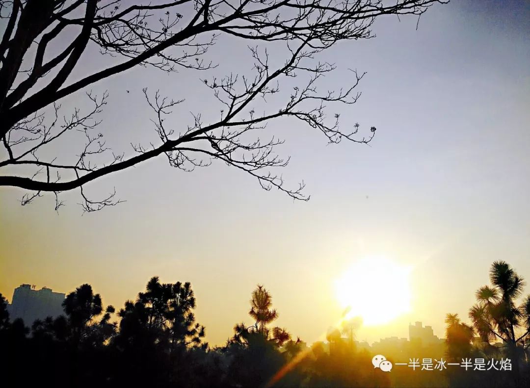 描写冬天的文章精选（冬天向暖而行原文赏析）