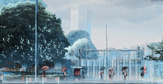 描写下雨的词语和句子（关于下雨的优美句子大全）