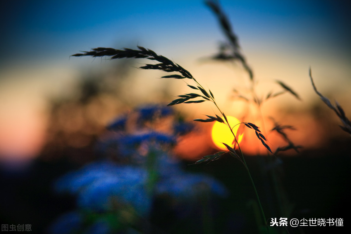 飞花两岸照船红的飞（飞花两岸照船红参照物 ）