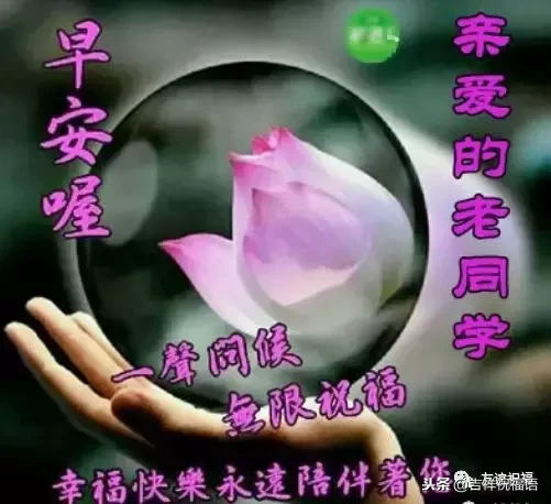 表达同学情谊的经典句子（同学情感语录短句）