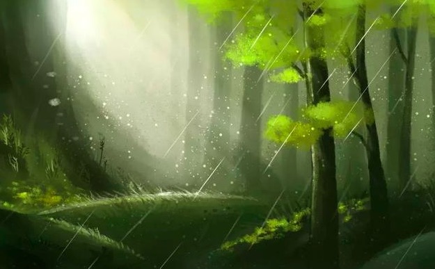 雨后的景色描写的句子（享受雨后的心情诗句大全）