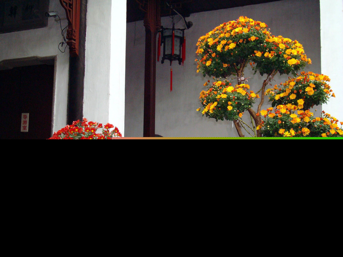 描写菊花古诗词100首（摘抄这30首赞美菊花的古诗）