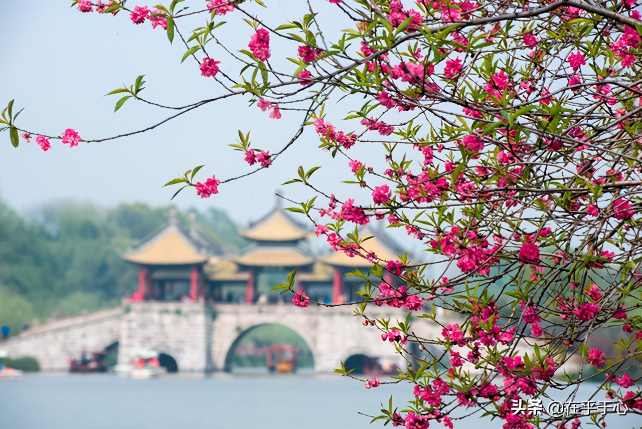 感恩祖国的句子大全（赞美祖国的精美句子）