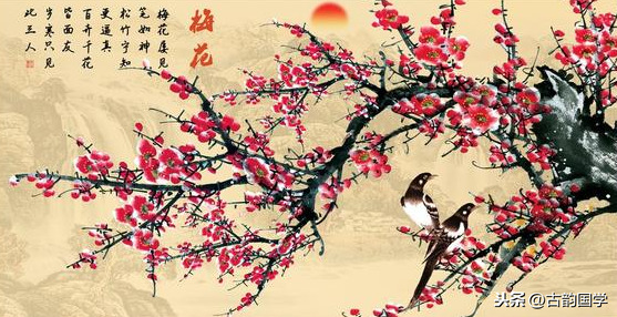 古代描写梅花的诗句有哪些（赞美梅花高洁品格的诗句）