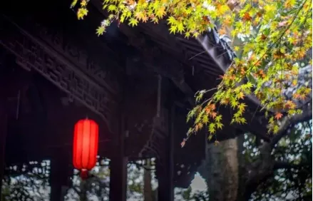 形容喝酒的诗词（形容喝酒尽兴的诗句）