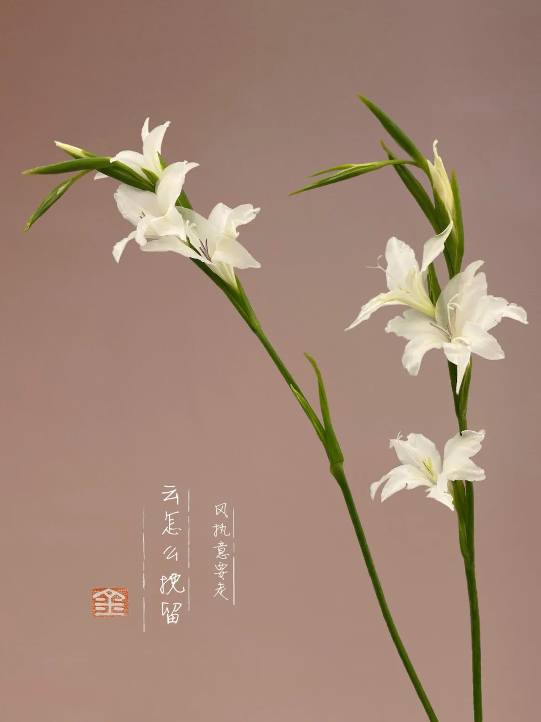 世界上最浪漫的爱情诗（千古绝句爱情古诗词）