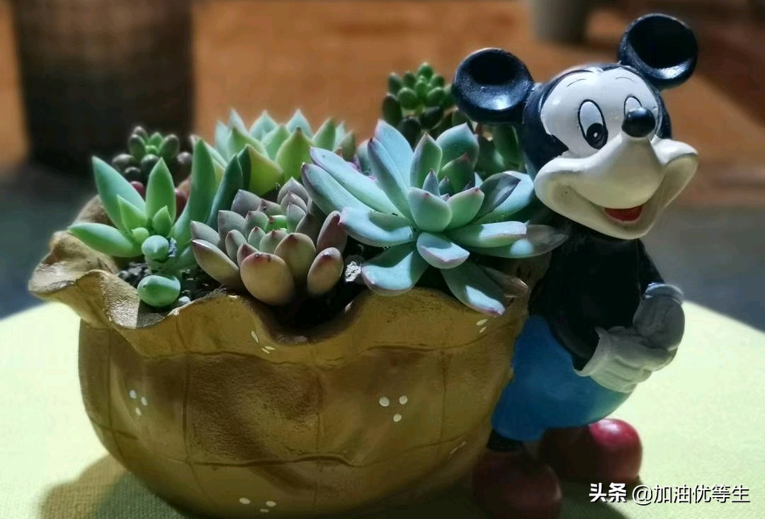 什么叫诗歌的节奏（现代诗歌节奏划分技巧）