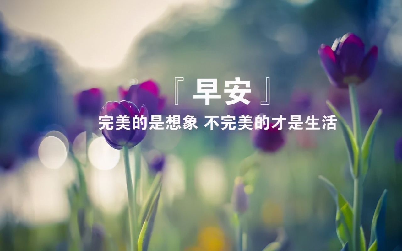 真心问候朋友的句子（最新版早上好问候语）