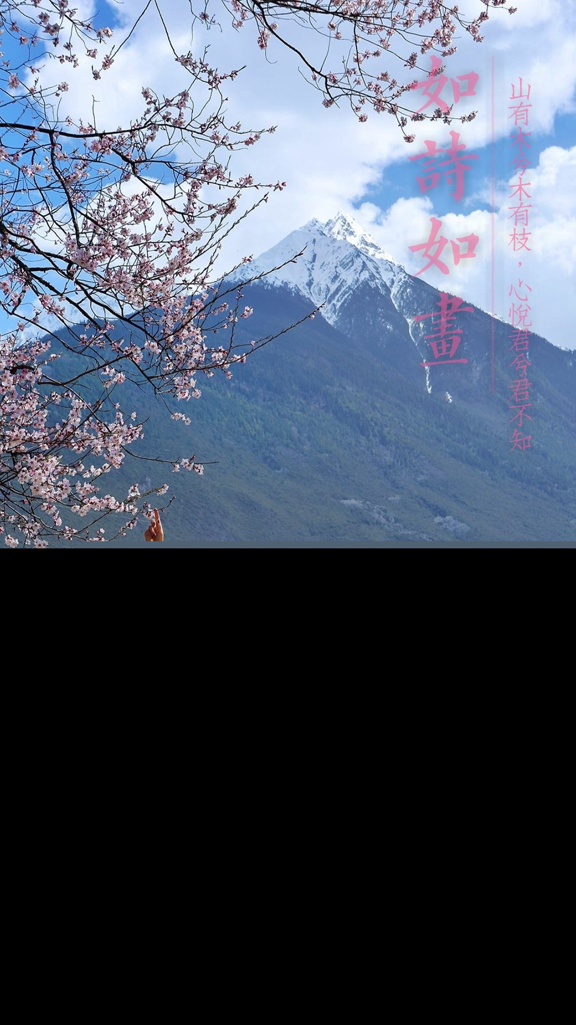 关于摄影的名言名句（镜头留住美好瞬间的摄影金句）