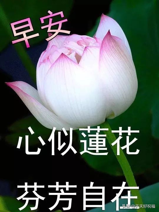 抖音上祝福朋友的句子（一句最友谊暖心的短句）