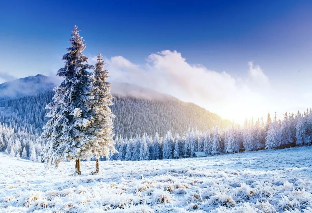 关于描写雪的句子有哪些（赞美雪景的诗句赏析）