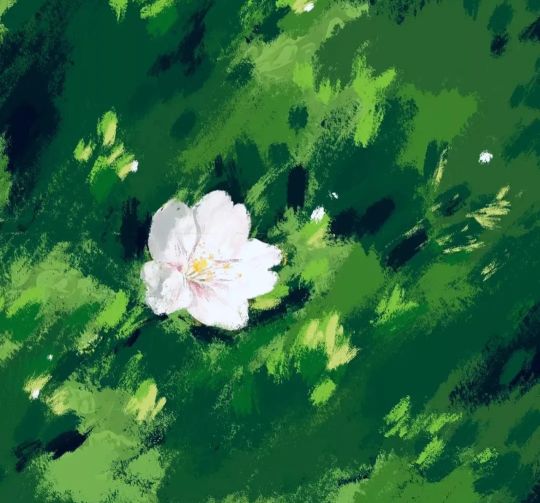 描写蝴蝶的优美句子和段落（蝴蝶发朋友圈说说）