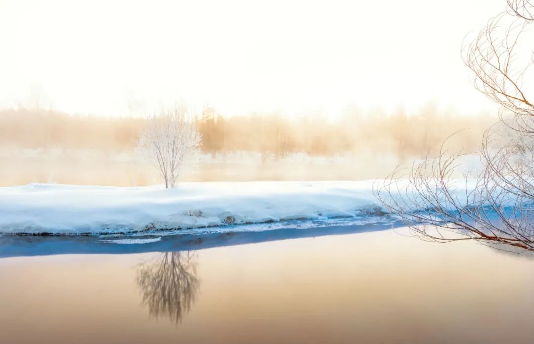 描写雪景的诗句有哪些（关于描写雪的诗句）