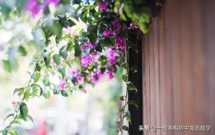 励志英语句子摘抄（英语好句子摘抄100句）